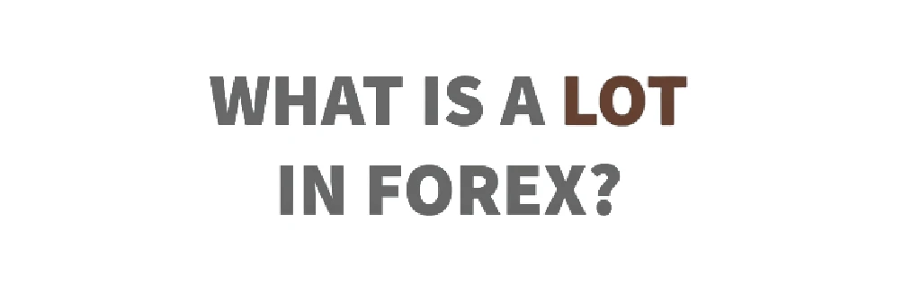 What is a Lot in Forex?