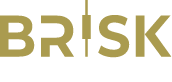 Brisk Markets Review 2025